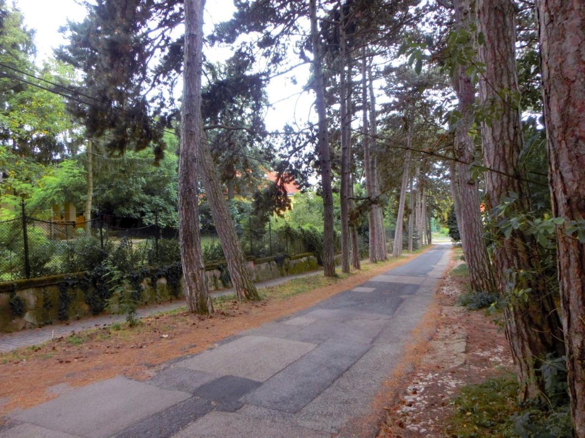 Pilis Apartman Piliscsaba 外观 照片